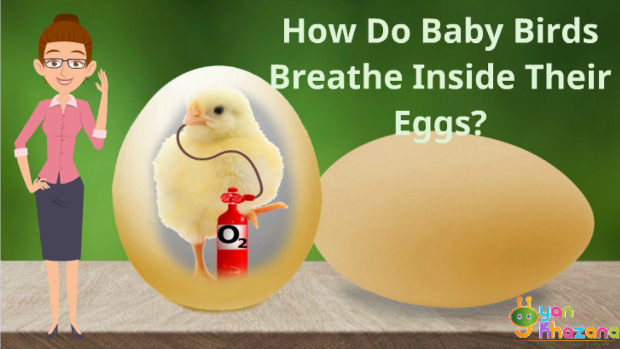 Assassin's Creed Syndicate