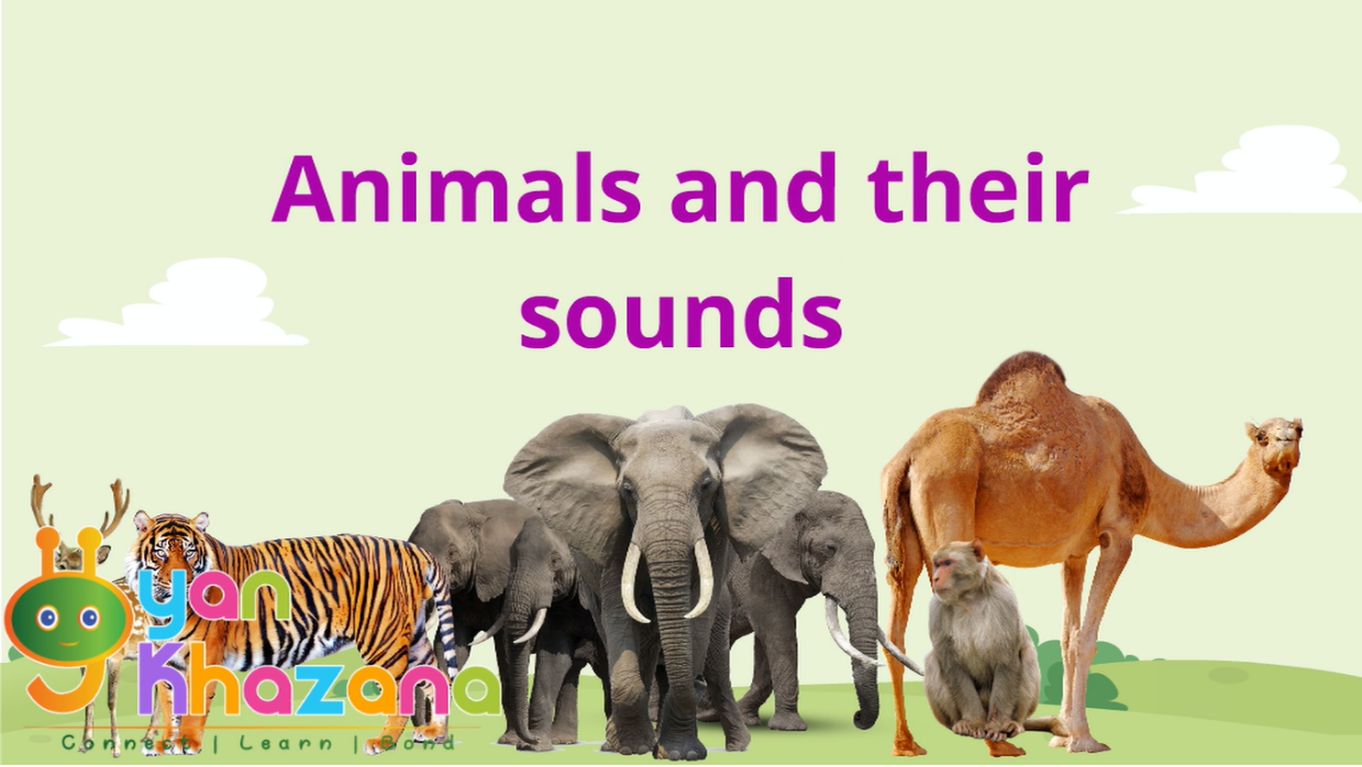 The Witcher 3: Wild Hunt